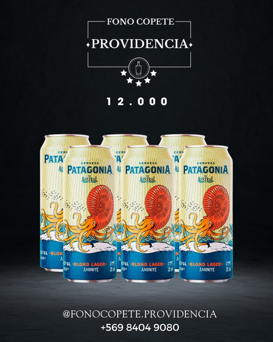 SIXPACK Patagonia Blond 470ml