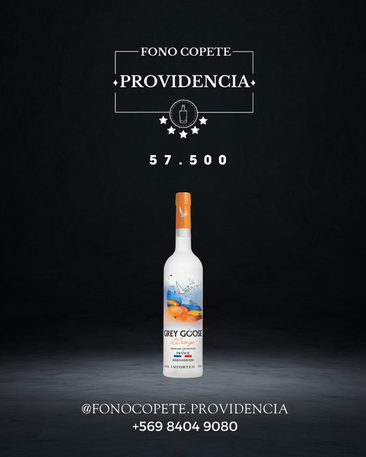 Vodka Grey Goose naranja